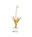 Tulip Sculpture with Lucite Base