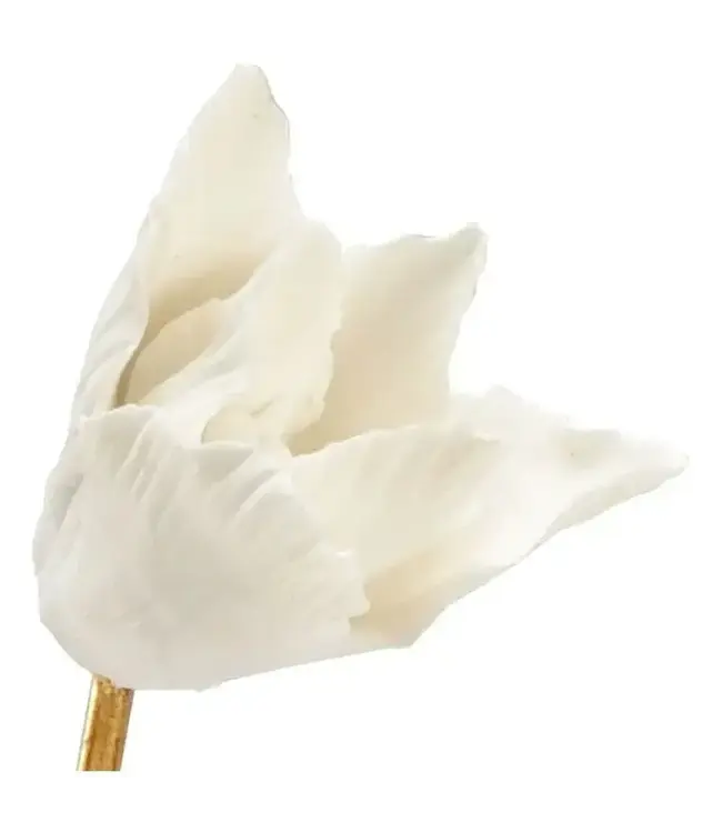 Tulip Sculpture with Lucite Base