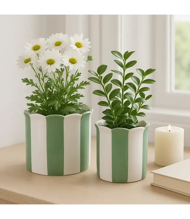 Green Stripe Scallop Planter Large