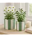 Green Stripe Scallop Planter Large