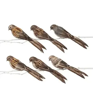 Large Bird Clip with Long Tail