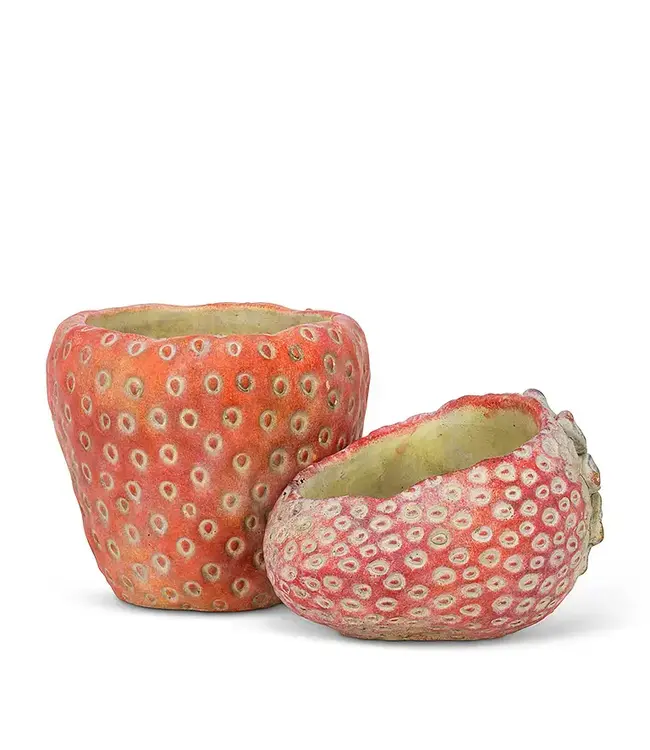 Laying Strawberry Planter 7 x 4.5 x 4 in