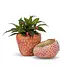 Small Strawberry Planter 5 x 5"