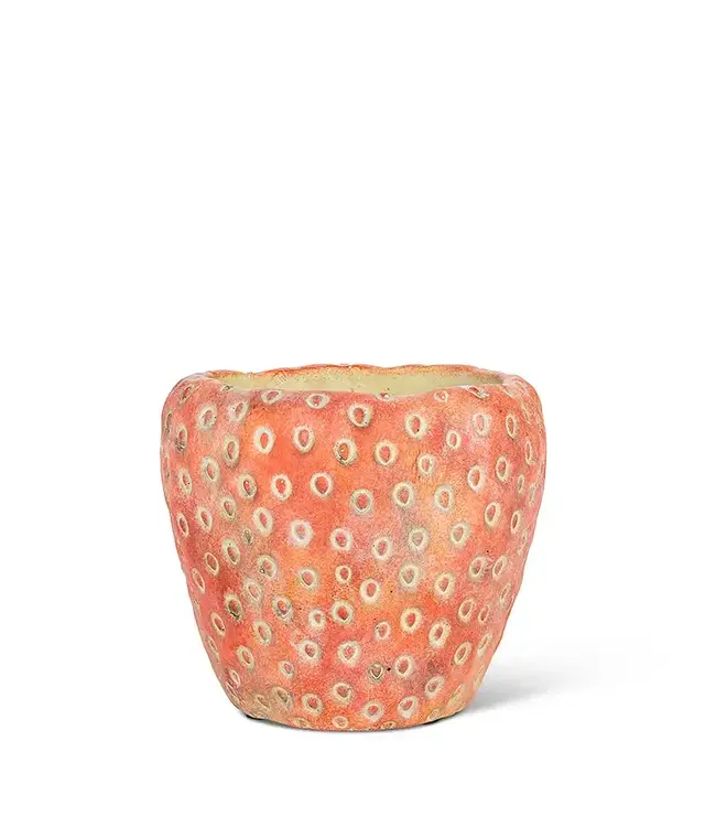 Small Strawberry Planter 5 x 5"