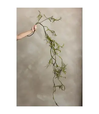 Garland - Mossy Twig Vine 4.5'