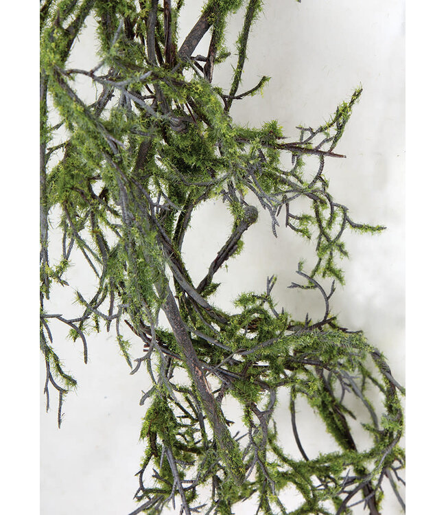 Garland - Mossy Twig Vine 4.5'