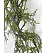 Garland - Mossy Twig Vine 4.5'