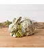Green Toile Decoupage Sitting Bunny