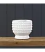 Hobnail Planter Small 6x6"
