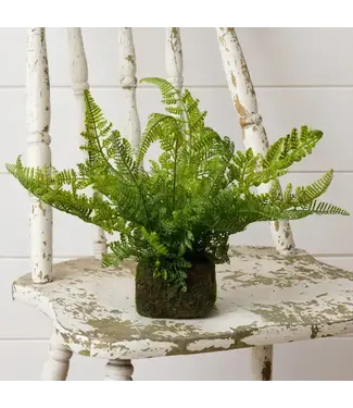 Mossy Faux Fern