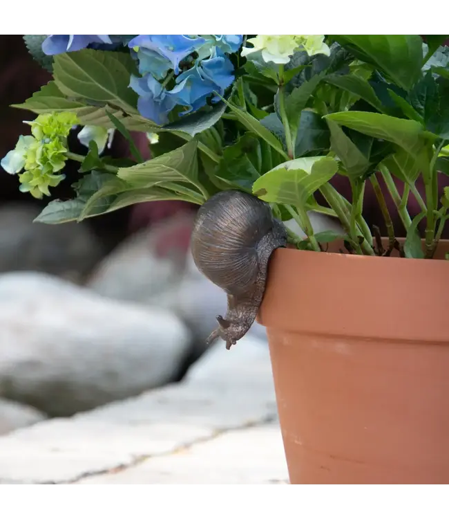 Snail Pot Hugger