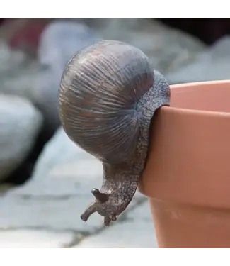 Snail Pot Hugger