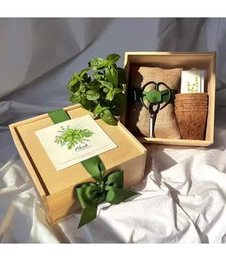Culinary Herb Garden Box