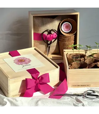 Flower Cutting Garden Box