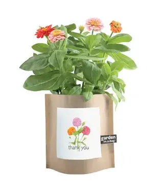 Garden in A Bag Zinnias