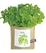 Garden in a Bag Basil
