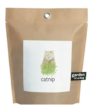 Garden in a Bag Catnip