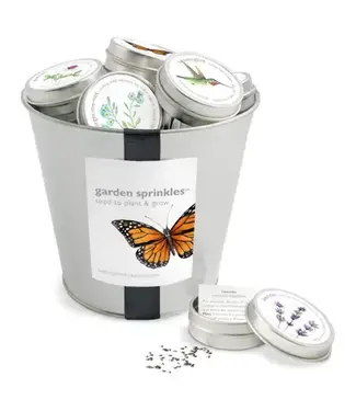 Sprinkle Seeds Pail of 36