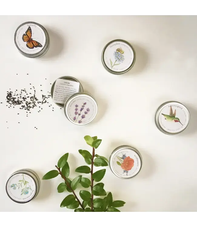 Sprinkle Seeds Pail of 36