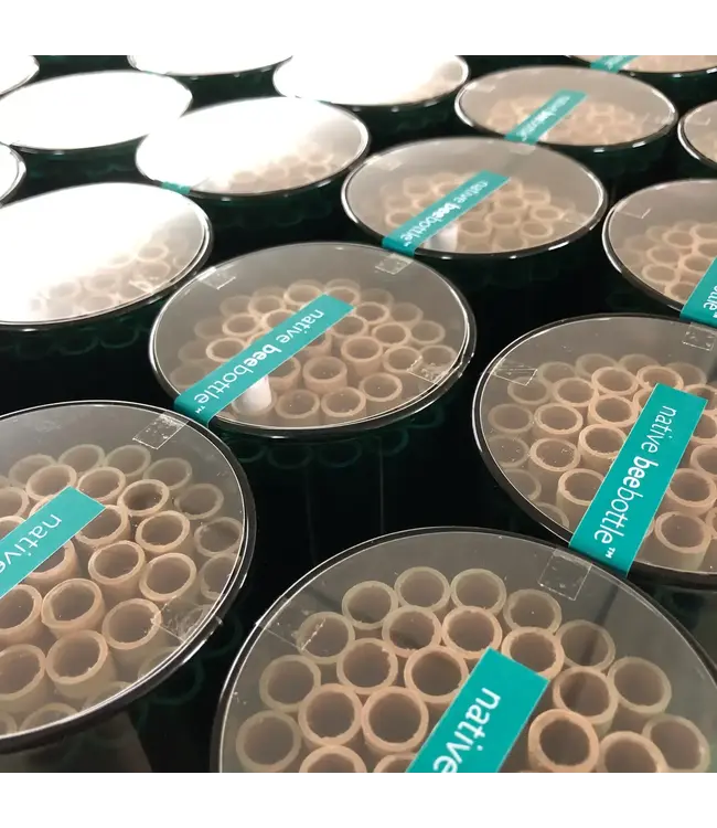 Handmade Native Bee Habitat House