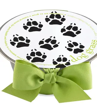 Dog Grass Pet Bowl