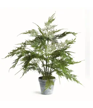 Faux Plumosa Fern Drop-in 17"