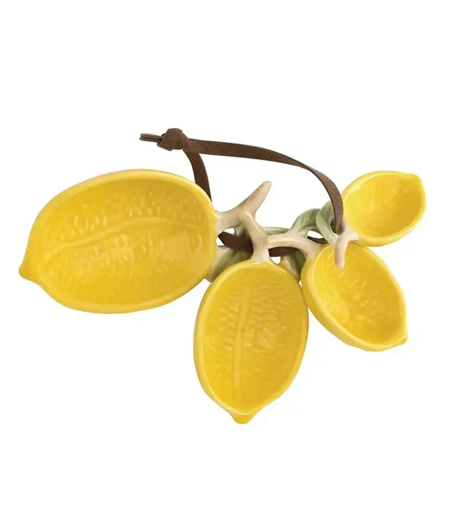 Lemon Measuring Spoons - Set of 4