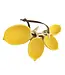 Lemon Measuring Spoons - Set of 4