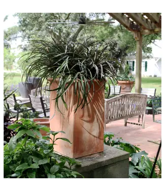 Aria Tall Square~24"H x 14"W Italian Classic Terra Cotta