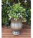 Lille Urn Oyster White Large 25.5 x 22