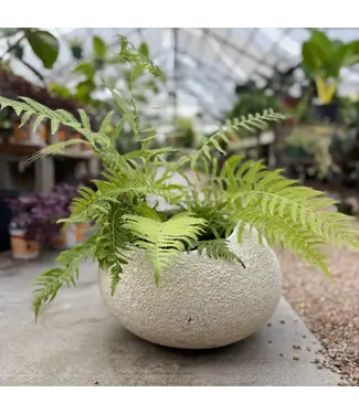 Anamese Garden + Home Ronde Planter Medium 10"H x 16"W Dune