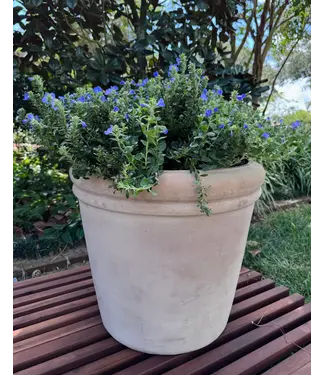 Celia Planter Large  22"H x 27"W  Vietnamese Unglazed