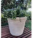 Celia Planter Large  22"H x 27"W  Vietnamese Unglazed