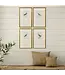 Antique Hummingbirds Framed Wall Art 4PC