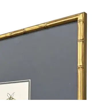 Pastel Moths Wood Green Framed Wall Art I 3PC