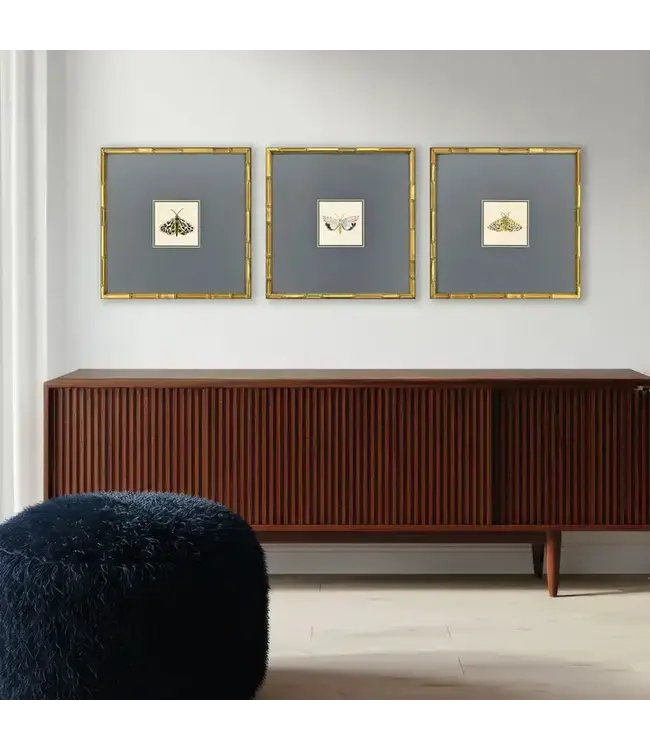 Pastel Moths Wood Green Framed Wall Art I 3PC