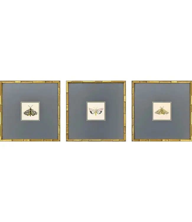 Pastel Moths Wood Green Framed Wall Art I 3PC