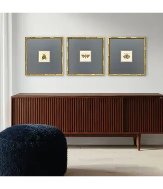 Pastel Moths Wood Green Framed Wall Art II  3PC