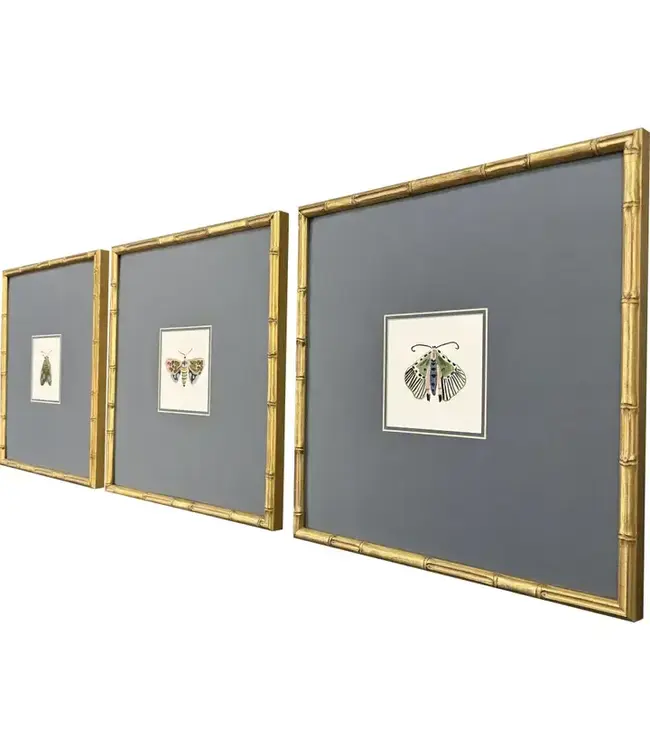 Pastel Moths Wood Green Framed Wall Art II  3PC