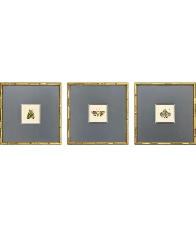Pastel Moths Wood Green Framed Wall Art II  3PC