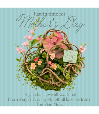 Gift Mom a Vine Basket – Save $10!