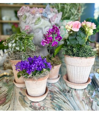 2026 Teacher Appreciation - Premium