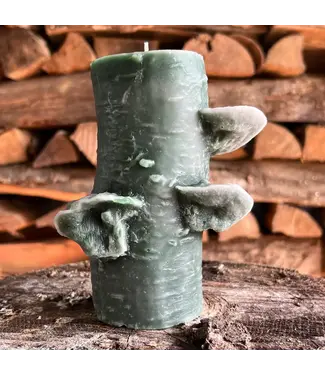 Birch Pillar Candle 72hr