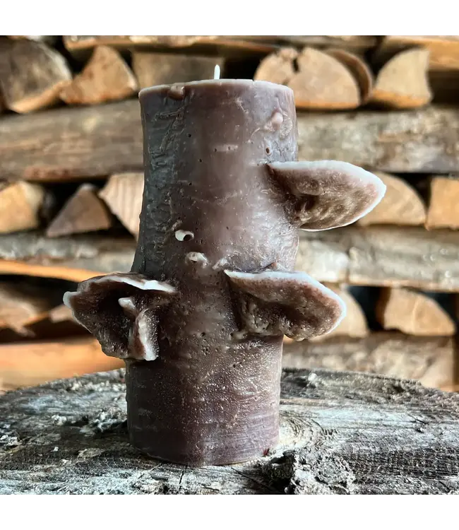 Birch Pillar Candle 72hr