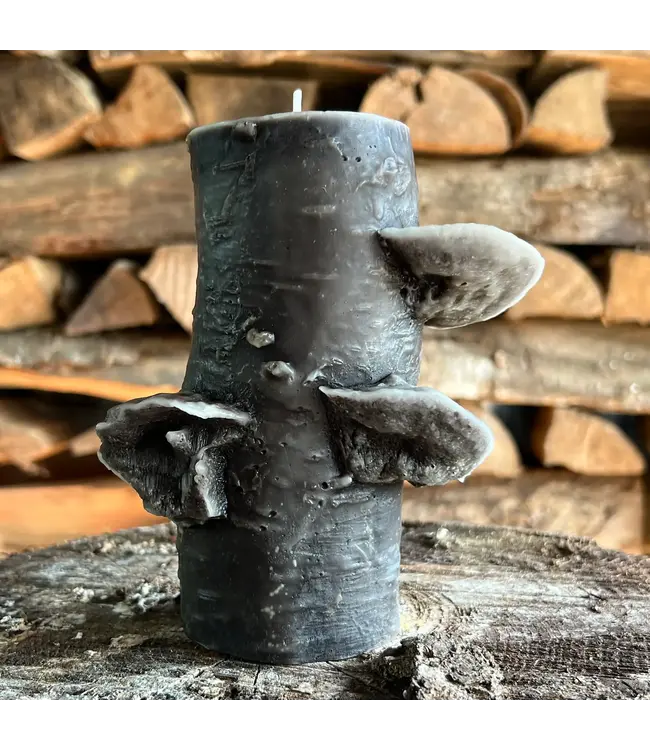 Birch Pillar Candle 72hr