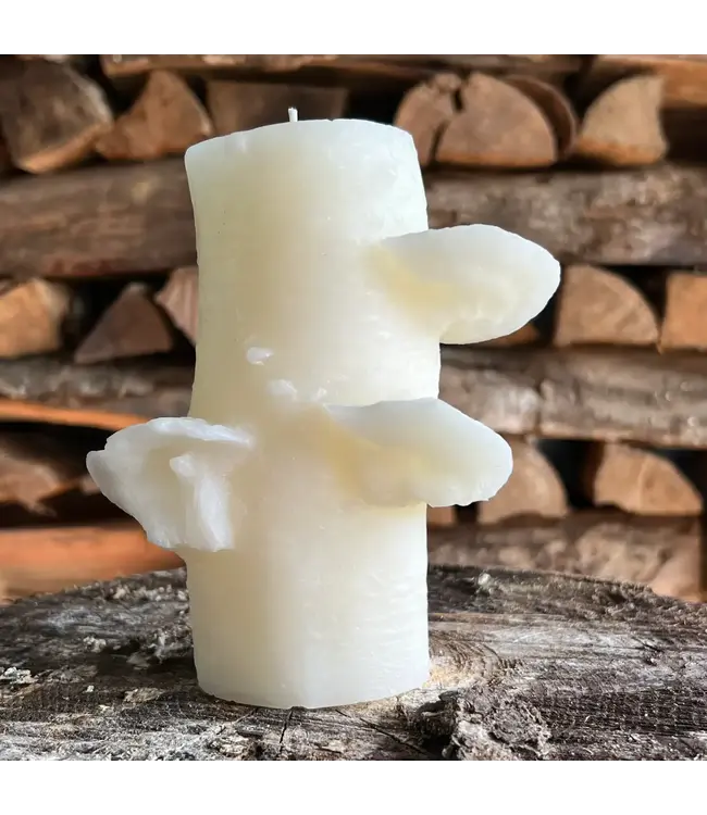 Birch Pillar Candle 72hr