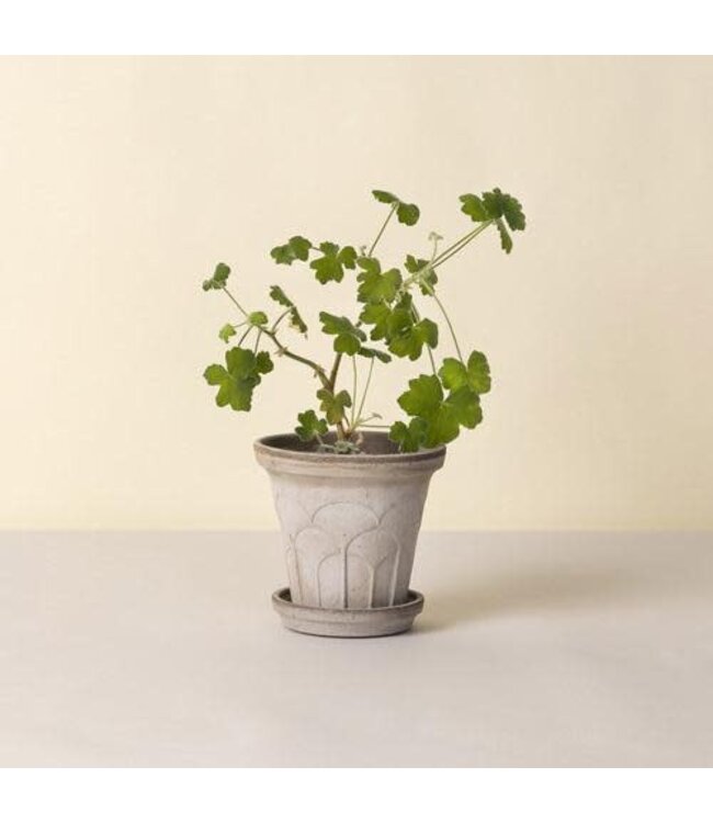 Berg Fleur RAW Grey Set 25cm