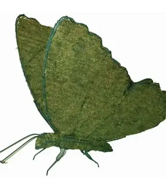 Mossed Butterfly 20"