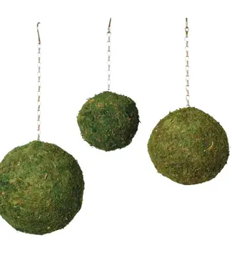 Moss Spheres 6"