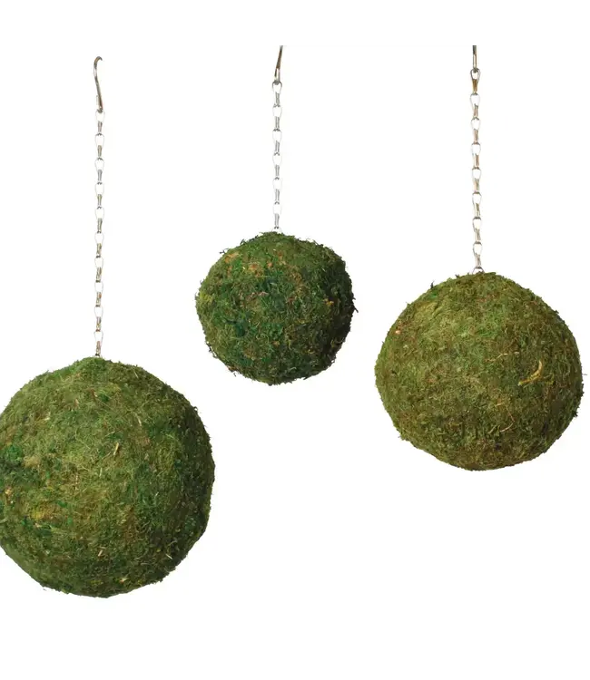 Moss Spheres 6"